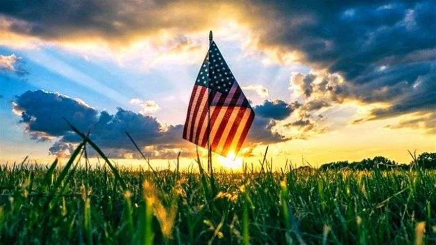 Soja reage à eleição de Trump com perdas na Bolsa de Chicago