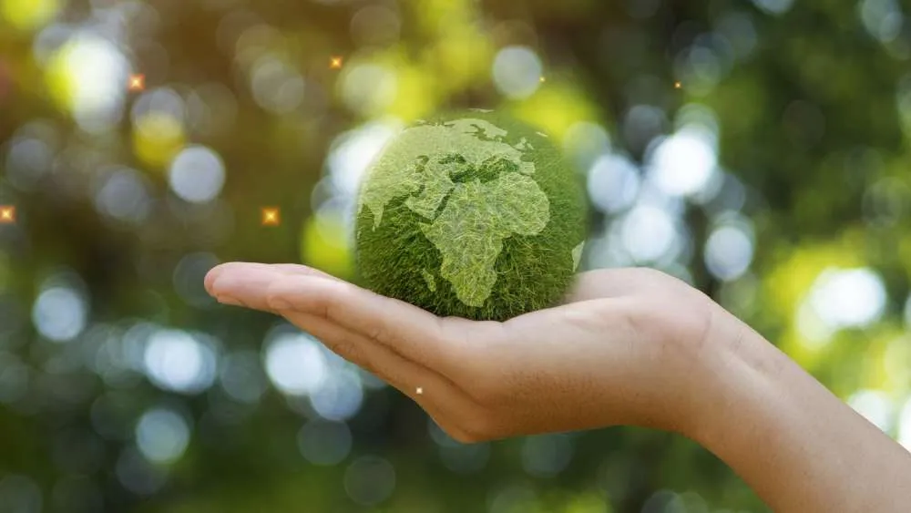 Regras de sustentabilidade vão afetar as empresas brasileiras a partir de 2025