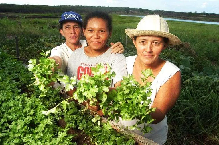 Banco Mundial investirá US$ 1,6 bilhão na agricultura familiar no Brasil