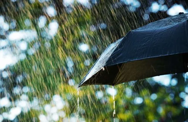 Chuvas no início de novembro superaram 200 mm em muitas áreas do Brasil