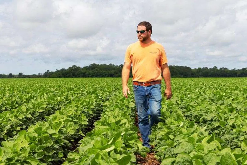 Recordista mundial em produtividade de soja vem ao Brasil