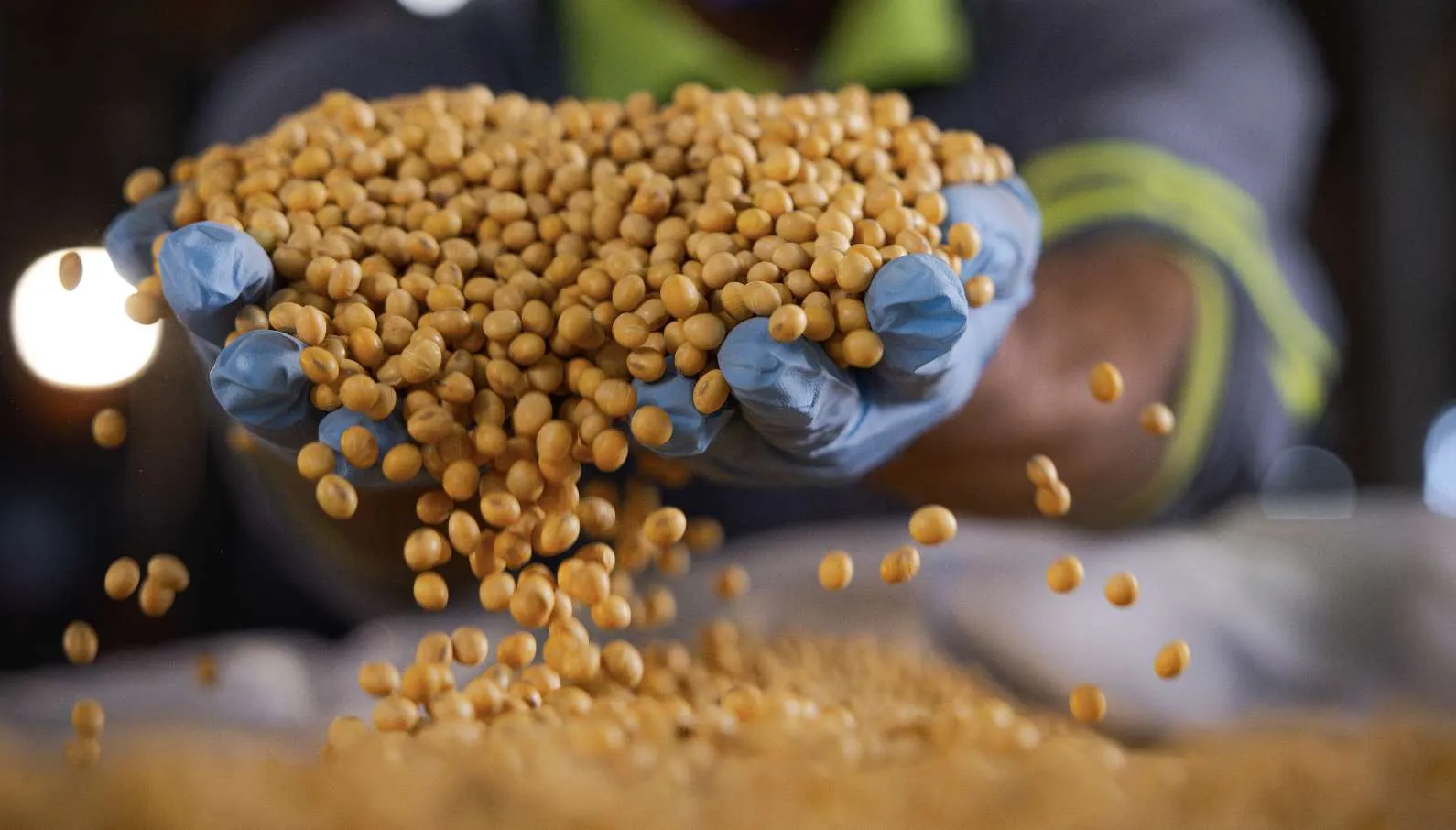 TSI: um salto de eficiência para a sojicultura brasileira