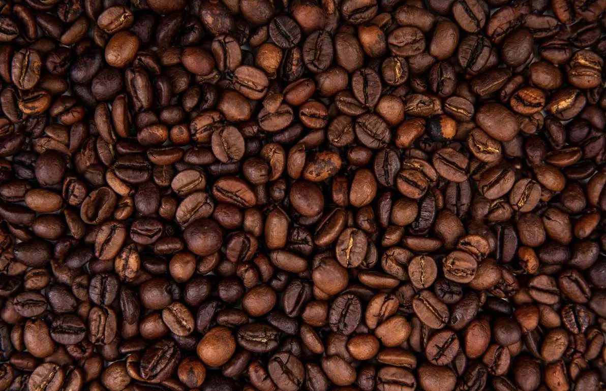 Preços do café arábica voltam a subir com força