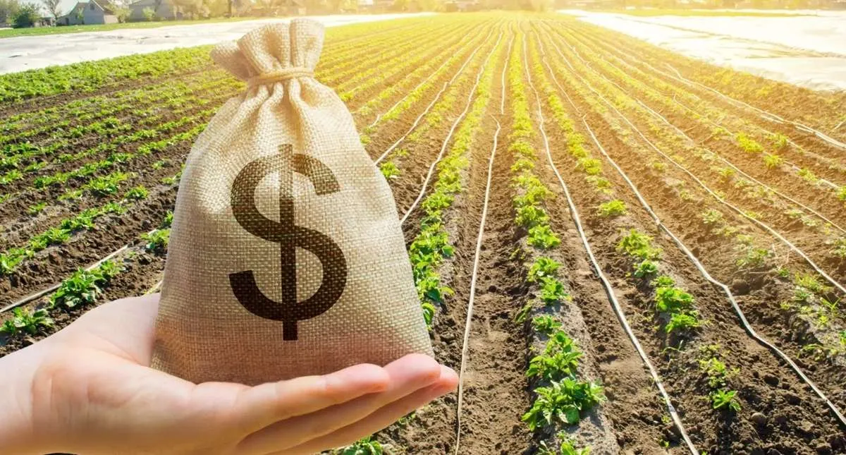 Desembolso de crédito rural do Plano Safra cai R$ 50 bilhões