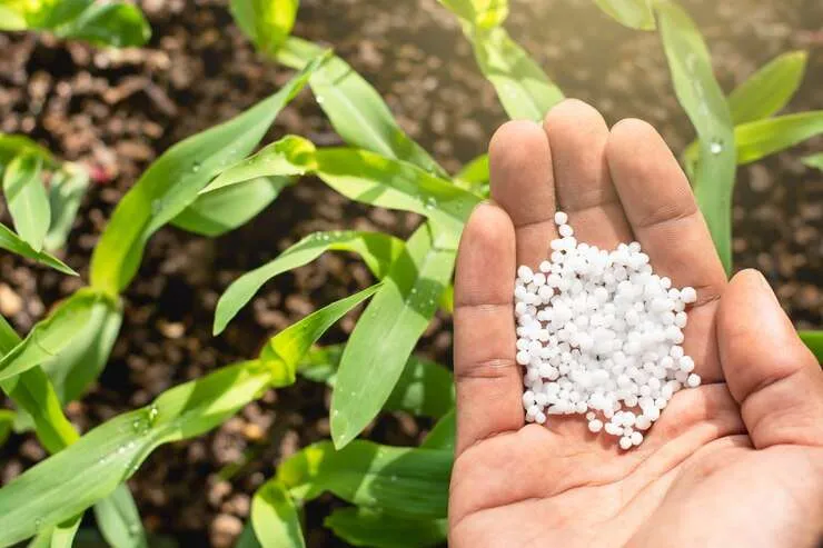 Entregas de fertilizantes tem queda de 2% de janeiro a agosto