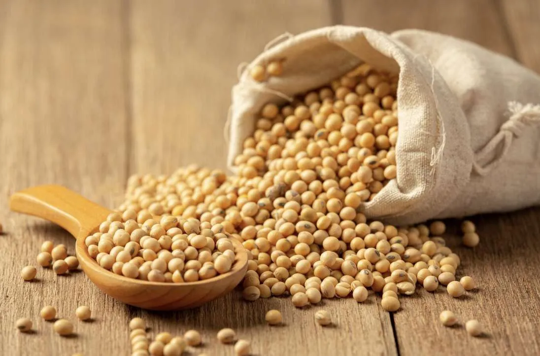 Clima favorece semeadura e colheita de soja pode ser recorde