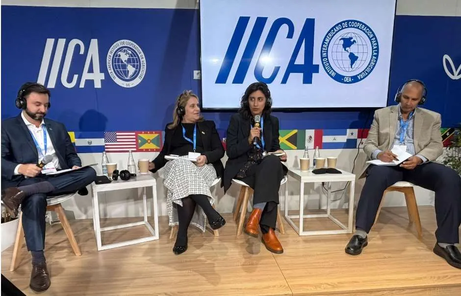 COP29: pecuária pode avançar na reciclagem de resíduos da agricultura