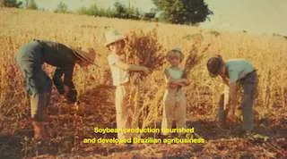 Conheça a história da soja na agricultura brasileira