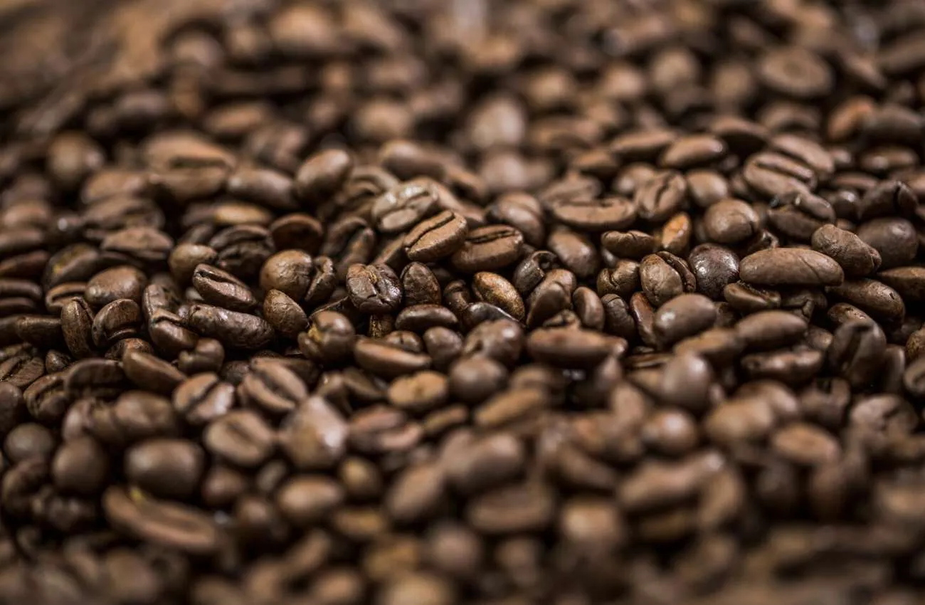 Café robusta renova recorde e preço do arábica é o maior desde 1998