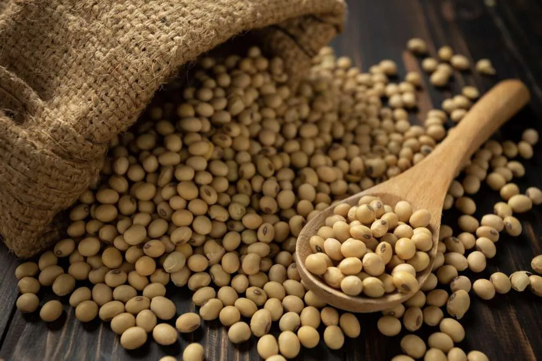 Cotações internas e externas da soja recuam