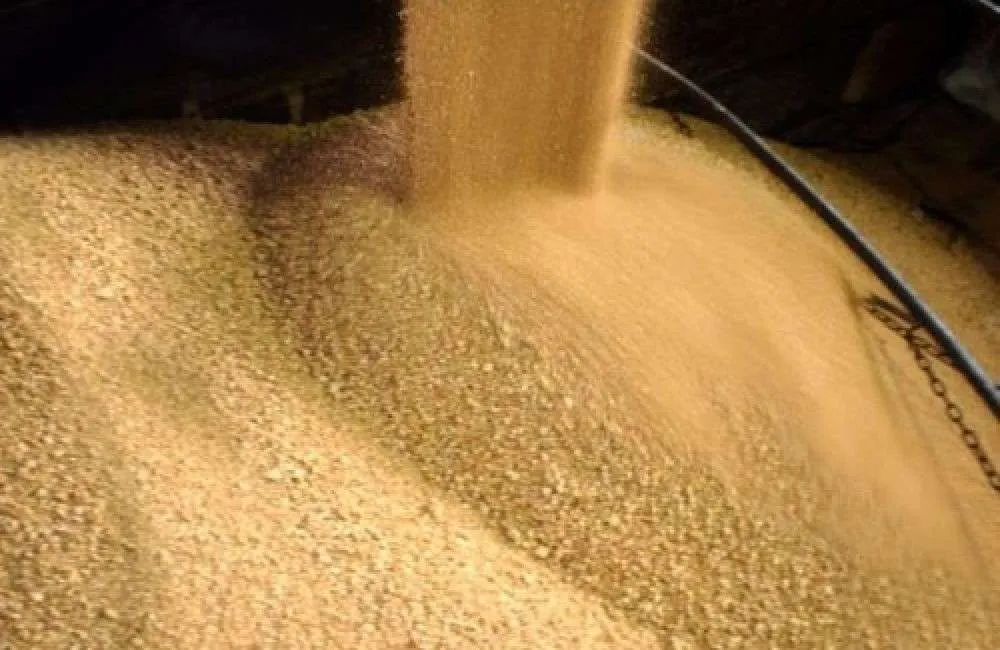 Segunda-feira encerra com alta do farelo de soja e queda do trigo na CBOT