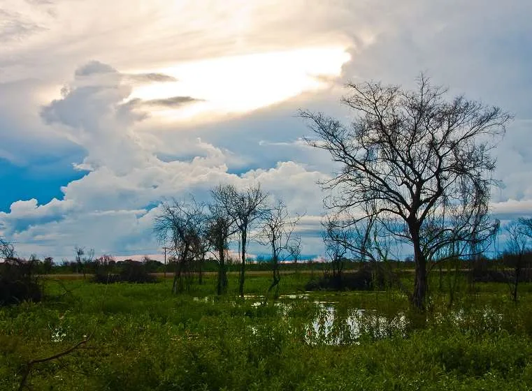 O que esperar do novo verão que está chegando?