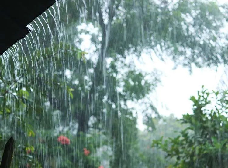 Novembro com muita chuva em GO, MT e DF