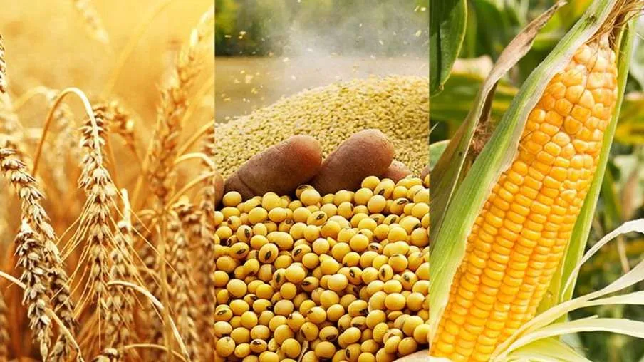Após feriado nos EUA, commodities apresentam desempenhos mistos na CBOT