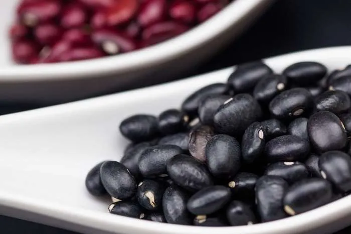 Maior oferta e proximidade da nova safra mantêm pressão sobre os valores do feijão