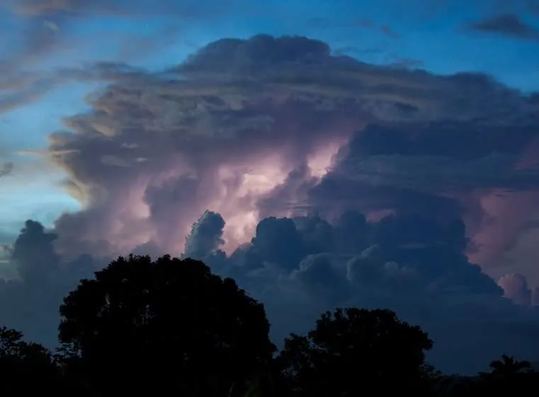 Previsão para dezembro de 2024