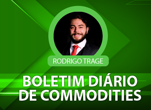 Após forte queda na quarta-feira, futuros da soja se recuperam e encerram em alta