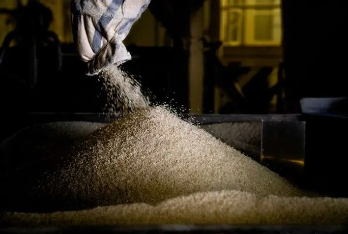 Brasil exportou 111,8 mil toneladas de arroz em novembro, segundo Abiarroz