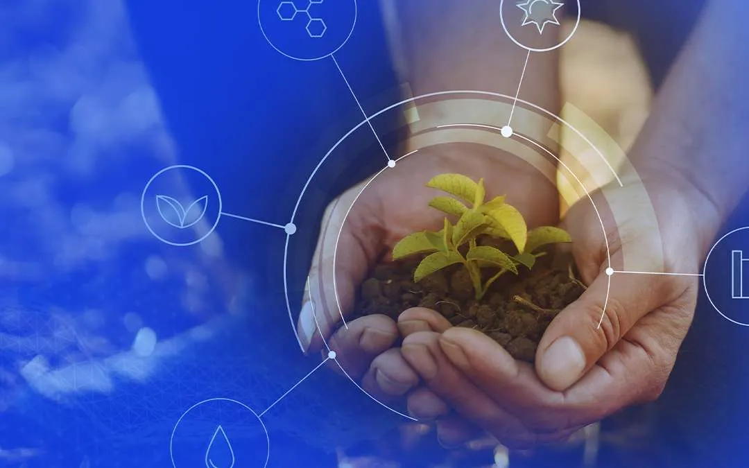 Simpósio Catarinense do Campo à Mesa abre inscrições para submissão de trabalhos