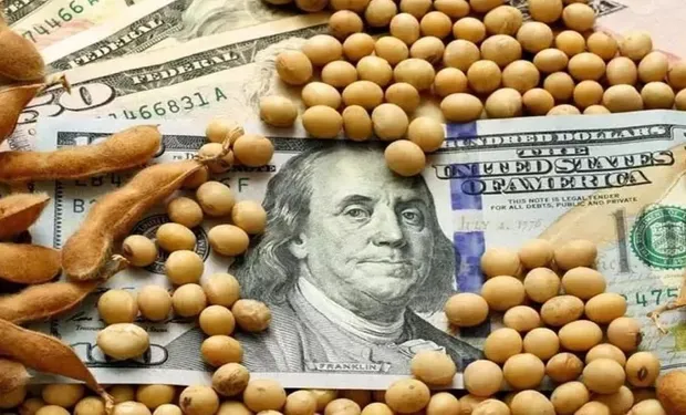 Cotações da soja continuam desabando na Bolsa de Chicago