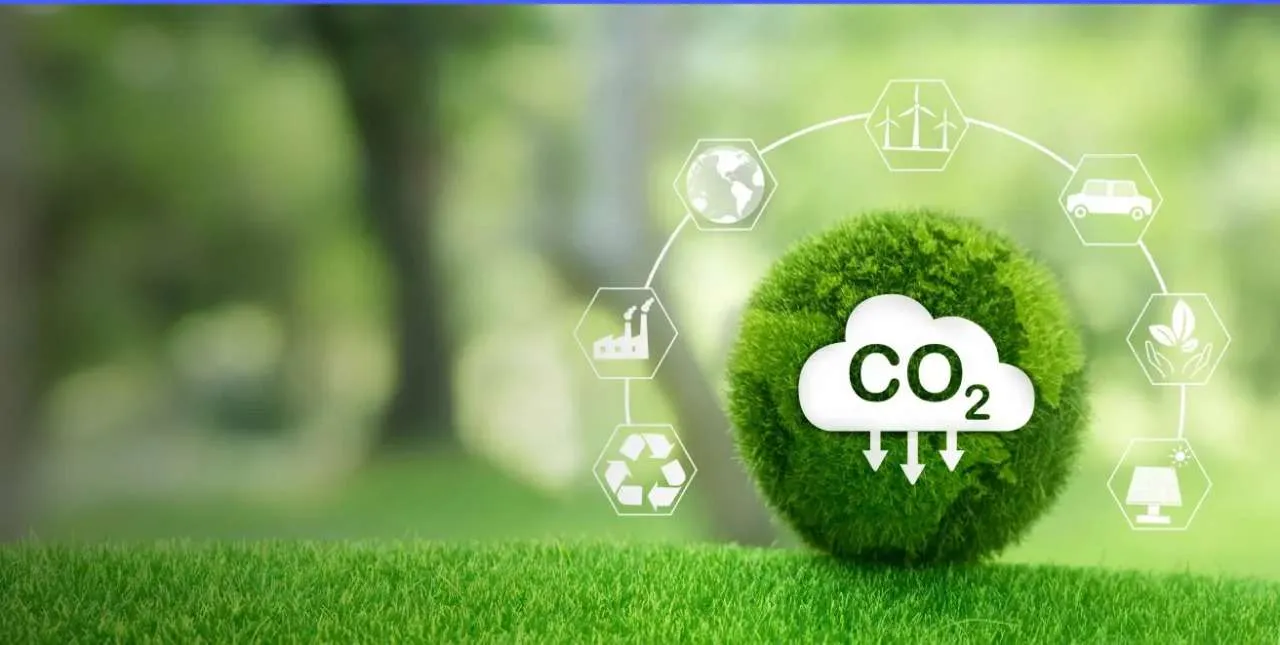 Brasil pode liderar mercado de Créditos de Carbono no mundo