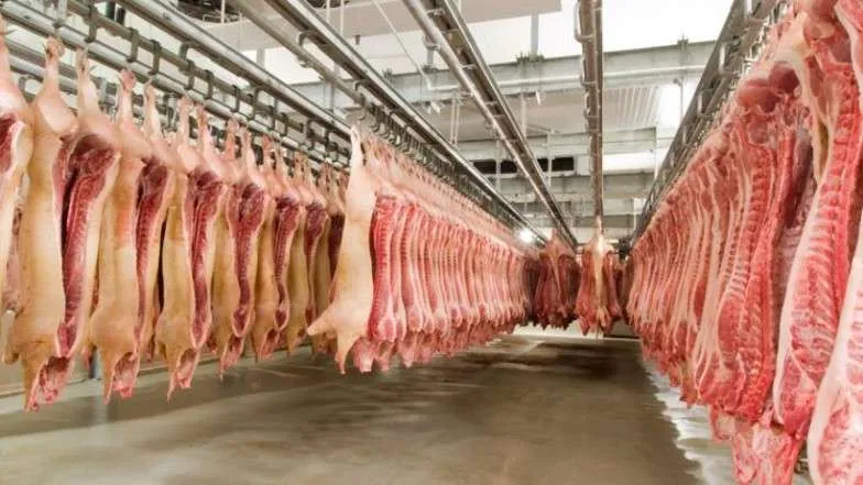 Exportações de carne suína crescem 10% e registram recorde em 2024