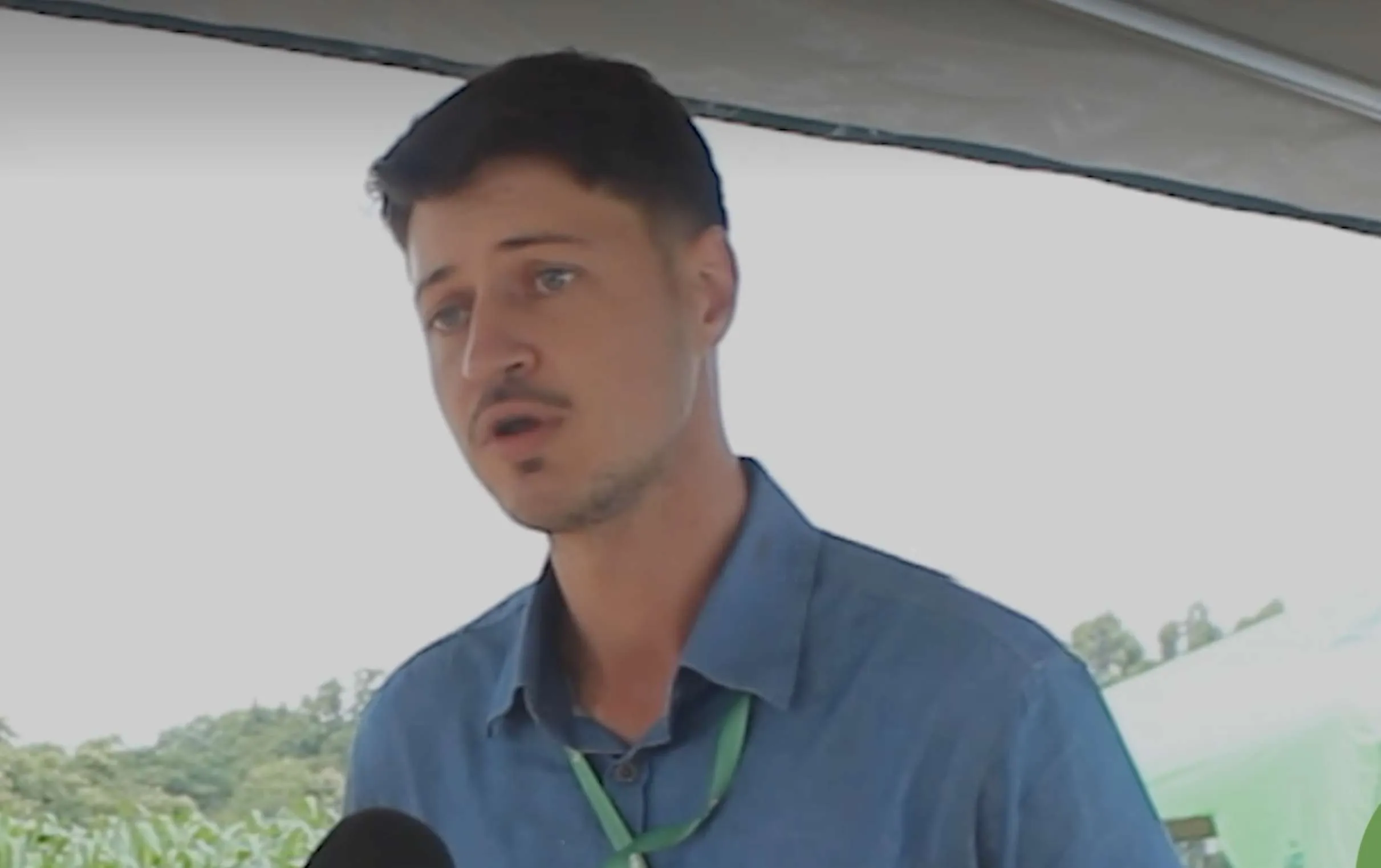 Manejo de doença foi destaque de Dia de Campo de Feijão no Paraná