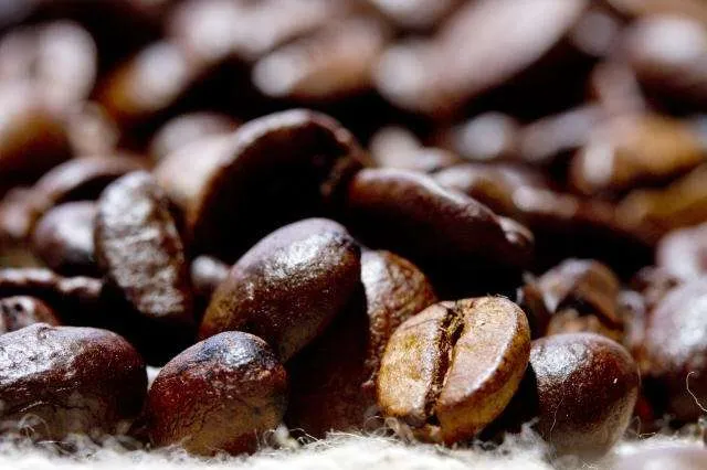 Apesar de liquidez ainda baixa, preços do café iniciam ano firmes