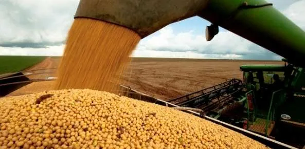 Colheita da soja inicia no Brasil e preços caem