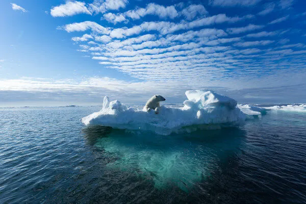Segundo Climatempo, recorde mundial de temperatura acende alerta climático global