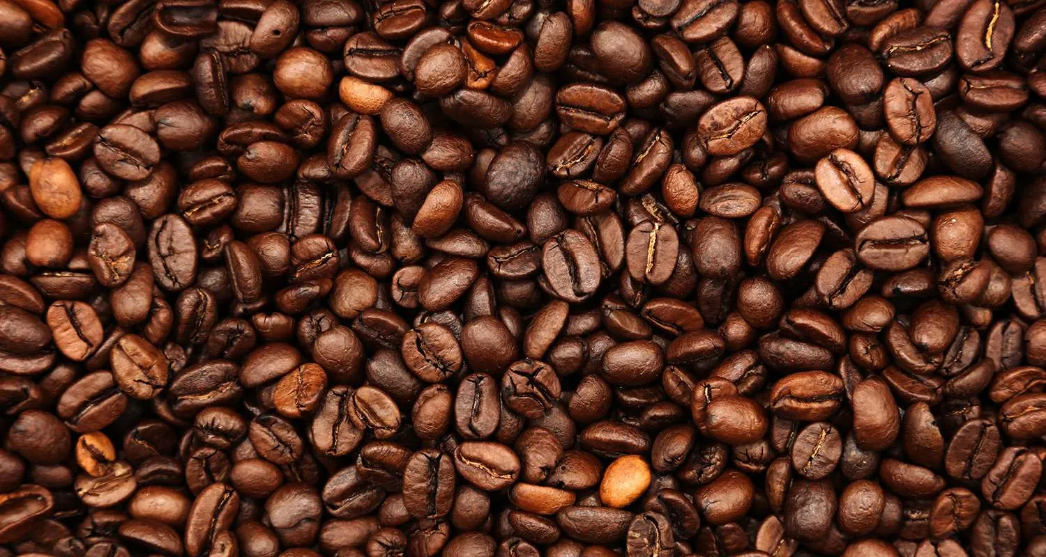 Chuvas seguem satisfatórias, mas, em excesso, podem atrapalhar manejo do café