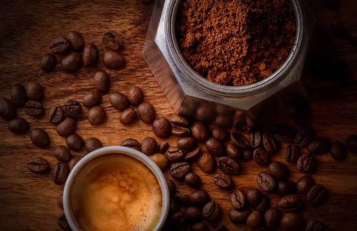 Crescimento de 160%% na certificação de origem em 2024 consolida café do cerrado mineiro