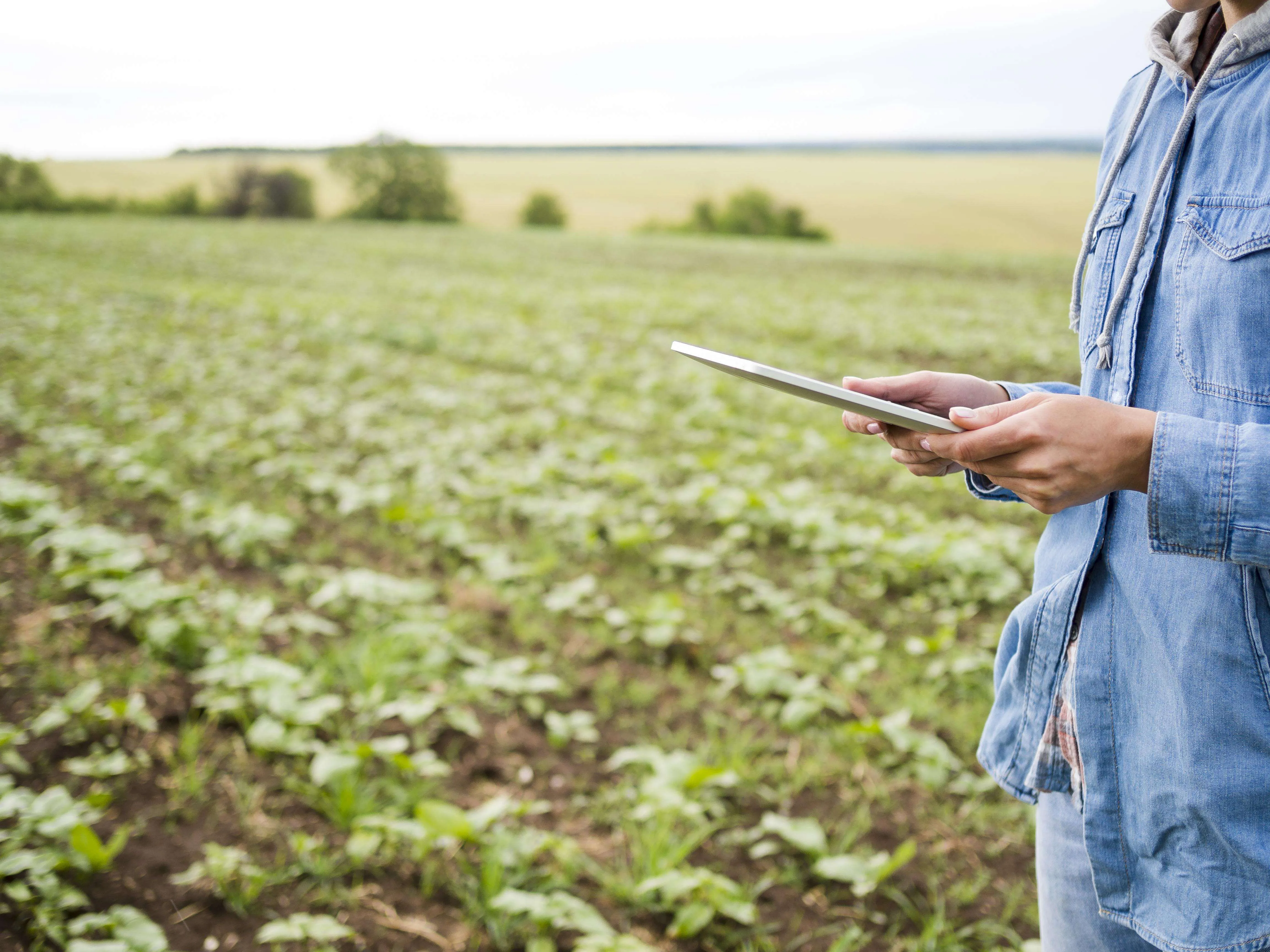 Regulações mais rígidas trazem desafios para setor agropecuário em 2025