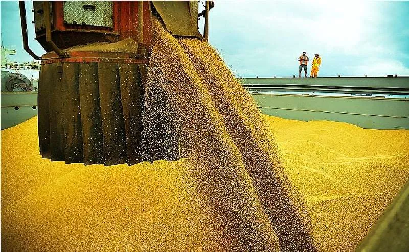 Suspensões não afetam volumes negociados pelo Brasil com a China, afirma MAPA