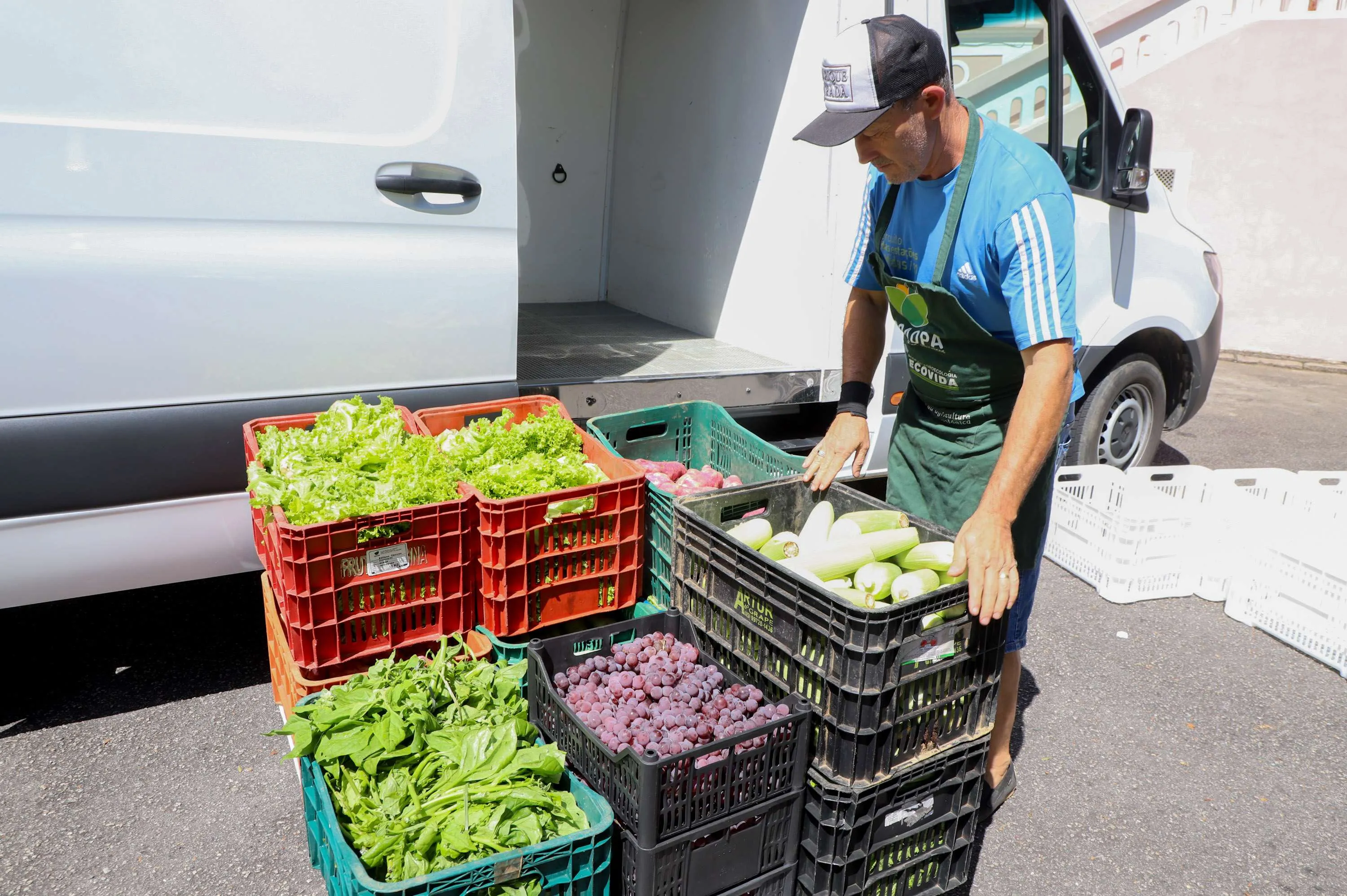 Paraná vai comprar R$ 77 milhões em alimentos direto do produtor rural