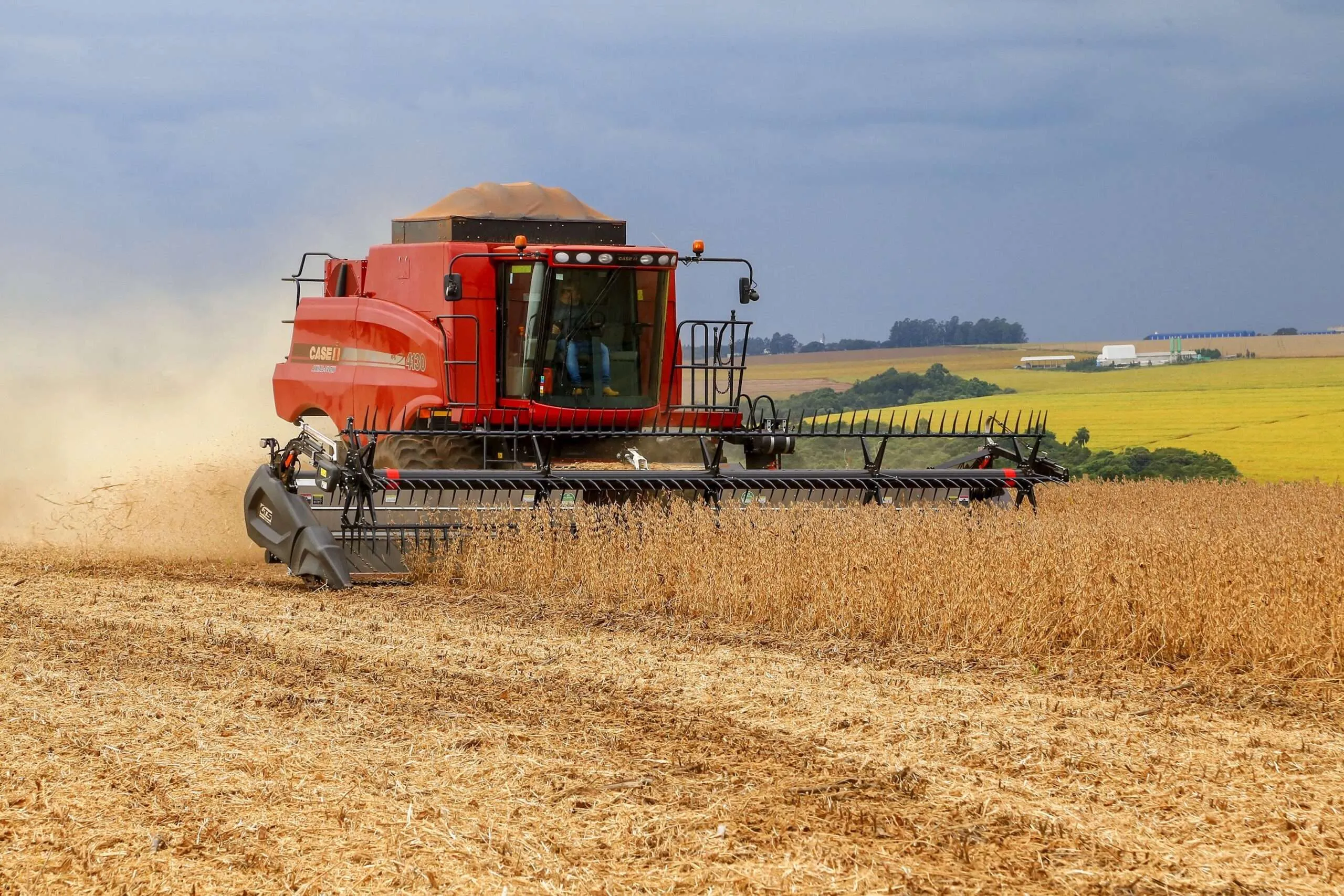 Colheita brasileira avança 8% e está atrasada, principalmente no Estado do Mato Grosso