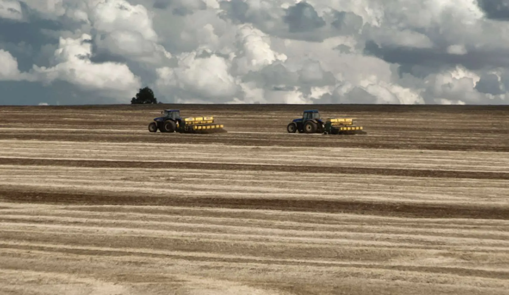 Produtor paranaense contratou menos crédito nesta temporada, segundo FAEP