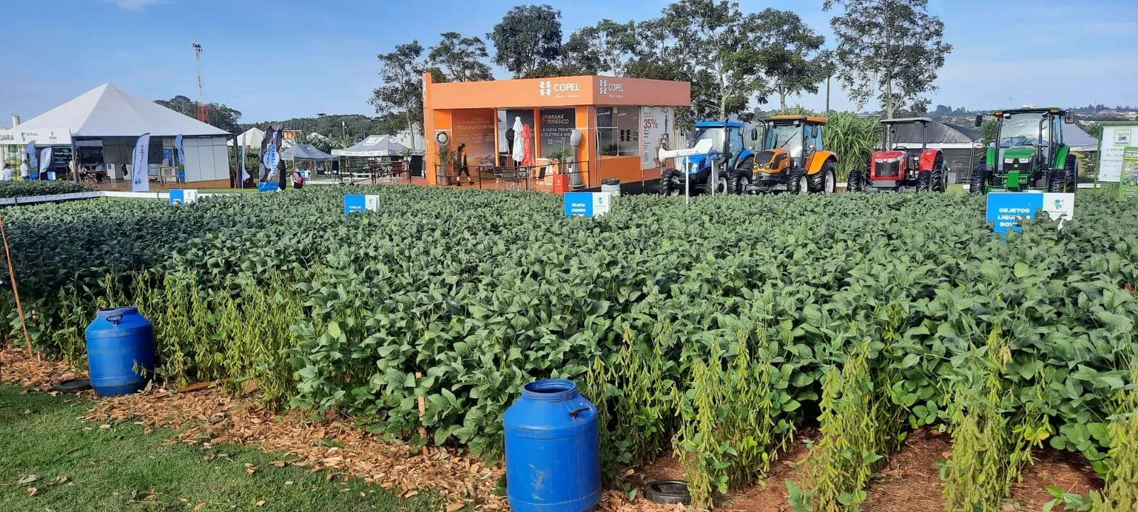 No Show Rural, IDR-Paraná vai orientar sobre aplicação de dejetos de criação nas lavouras