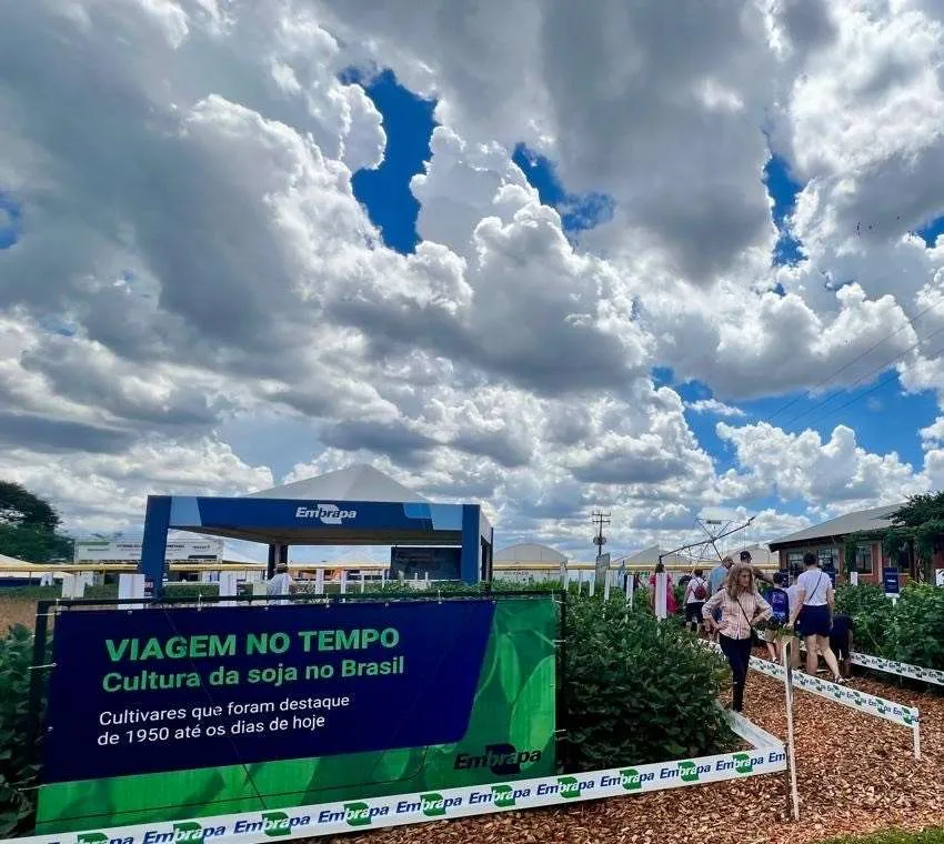 Linha do tempo com cultivares conta a história da soja no Brasil