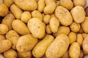 Com chuvas dificultando a colheita de batata, oferta cai e preço sobe
