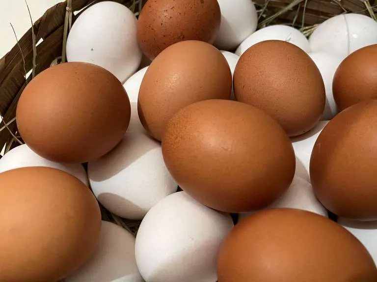 Com baixa oferta e demanda firme, preços dos ovos atingem recorde nominal 