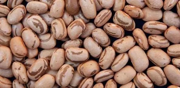 Avanço da colheita amplia oferta e pressiona preços do feijão