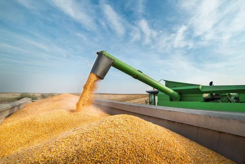 Milho é negociado a US$ 5/março na CBOT, melhor preço desde 2023