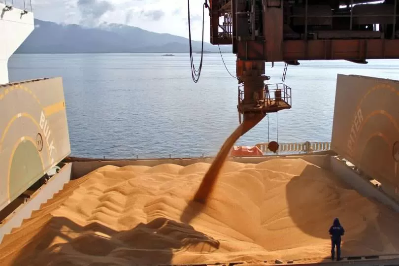 Segundo Abiarroz, Brasil inicia 2025 com aumento de 34% nas exportações