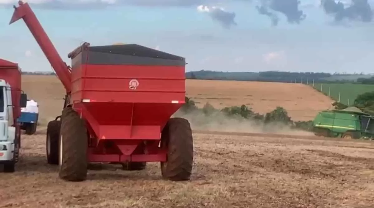 Colheita no Brasil e clima na Argentina fazem soja fechar em baixa na CBOT