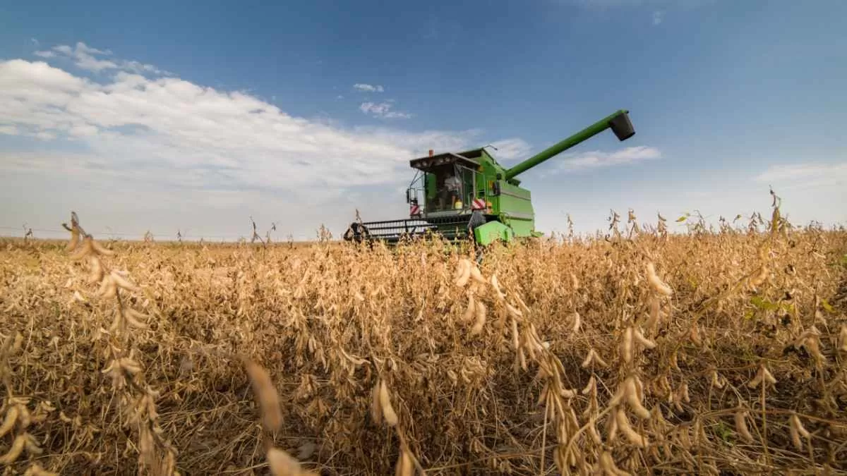 Produção de soja no Paraná deve ser 14% superior à da safra passada