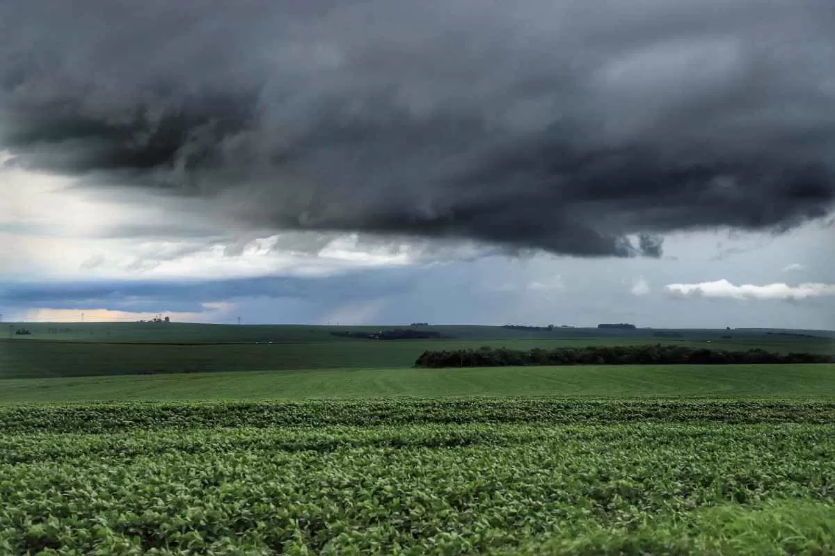 Chuva irá se concentrar no Centro e Norte do país nesta terça (25/02)