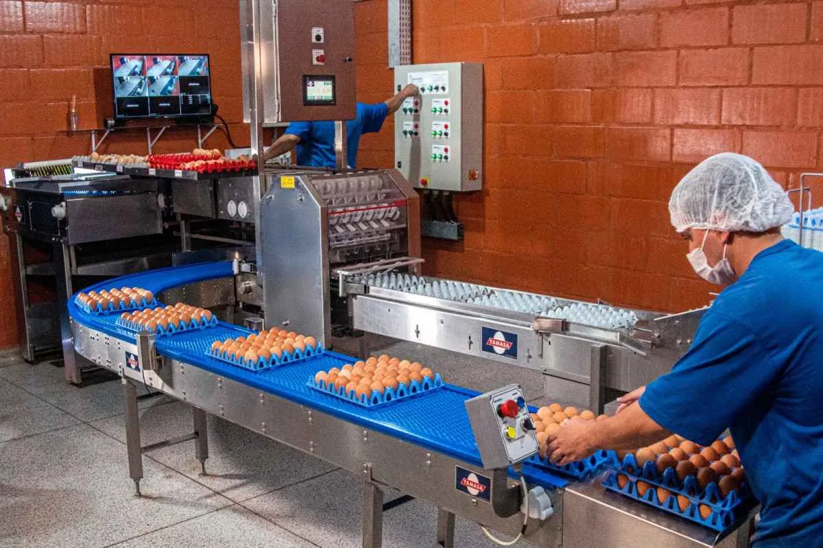 Parceria estratégica amplia portfólio de produtos na avicultura brasileira