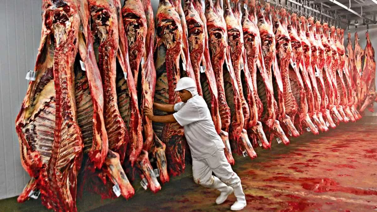 Frigoríficos brasileiros de carne bovina tem importações suspensas pela China