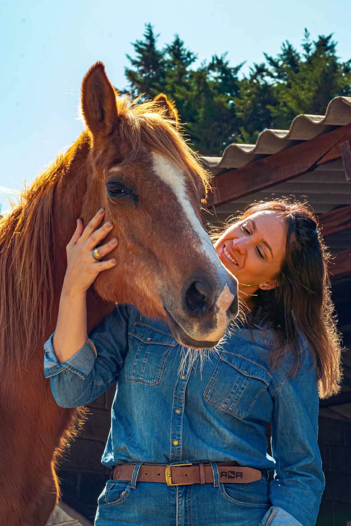 Liderança Feminina no Mercado Equestre: Desafios e Oportunidades 